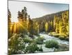 Photographic Print