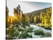Stretched Canvas Print