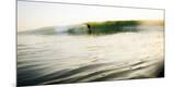 Premium Photographic Print