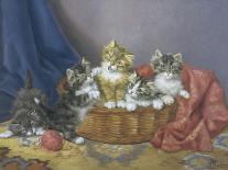 Playful Kittens-Daniel Merlin-Framed Premier Image Canvas