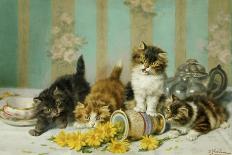 Playful Kittens-Daniel Merlin-Premier Image Canvas