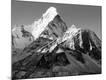 Photographic Print