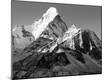 Photographic Print