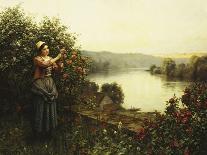 Girl with a Basket in a Garden-Daniel Ridgway Knight-Giclee Print