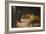 Daniel's Answer to the King, 1890 (Oil on Canvas)-Briton Riviere-Framed Giclee Print