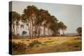 Stretched Canvas Print