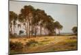 Premium Giclee Print