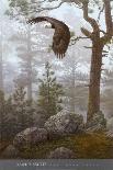 Shrouded Forest (detail)-Daniel Smith-Mounted Art Print