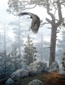 Beautiful Forests Artwork For Sale Posters And Prints Artcom