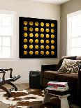 Golden Spots Black-Daniel Stanford-Loft Art