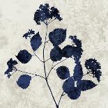 Nature Indigo Blue I-Danielle Carson-Art Print