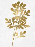 Nature Gold on White VI-Danielle Carson-Art Print
