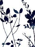 Nature Indigo Blue I-Danielle Carson-Art Print