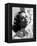 Danielle Darrieux, 1938 (b/w photo)-null-Framed Stretched Canvas