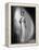 Danielle Darrieux 1938-null-Framed Stretched Canvas