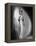 Danielle Darrieux 1938-null-Framed Stretched Canvas