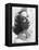 Danielle Darrieux, Circa 1938-null-Framed Stretched Canvas