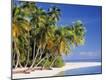Premium Photographic Print