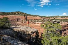 Colorado National Monument, Colorado-daniloforcellini-Photographic Print