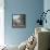 Danish Blue, 1999-2000-Timothy Easton-Framed Premier Image Canvas displayed on a wall