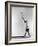 Danish Gymnastics Champion Hans Elmann Executing High Front Vault-Gjon Mili-Framed Photographic Print