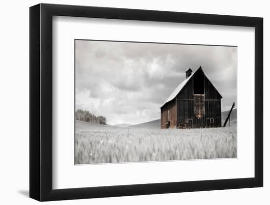 Photo, , large