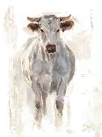 Sunlit Cows I-Danita Delimont-Art Print