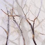 Branches of a Wish Tree A-Danna Harvey-Giclee Print