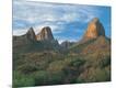 Photographic Print