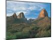 Photographic Print