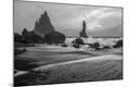 Photographic Print