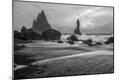 Photographic Print