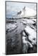 Photographic Print