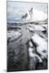 Photographic Print