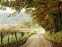 Autumn on a Country Road-Danny Head-Photographic Print