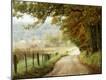 Photographic Print