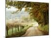 Photographic Print