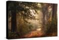 Stretched Canvas Print