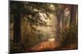 Photographic Print