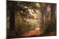 Photographic Print