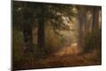 Photographic Print