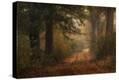Stretched Canvas Print