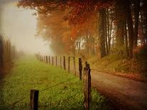 Autumn on a Country Road-Danny Head-Photographic Print