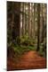 Photographic Print