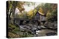 Stretched Canvas Print