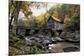 Photographic Print