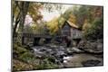 Photographic Print
