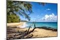 Photographic Print