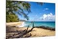 Photographic Print