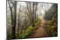 Premium Photographic Print